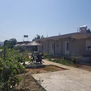 Pensjonat Rey Garden, Wlora